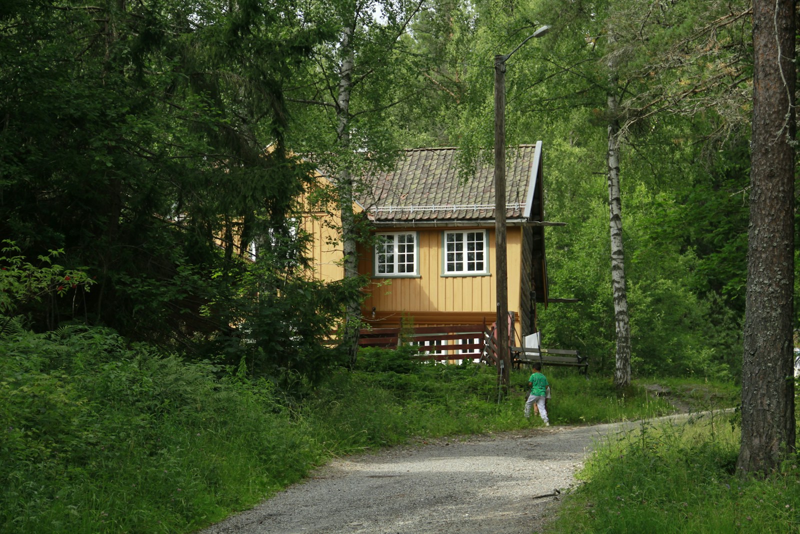 Yellow house surrounded by lush green trees